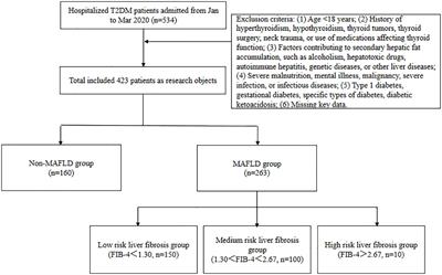 Elevated thyroid autoantibodies as risk factors for metabolic dysfunction-associated fatty liver disease in type 2 diabetes mellitus